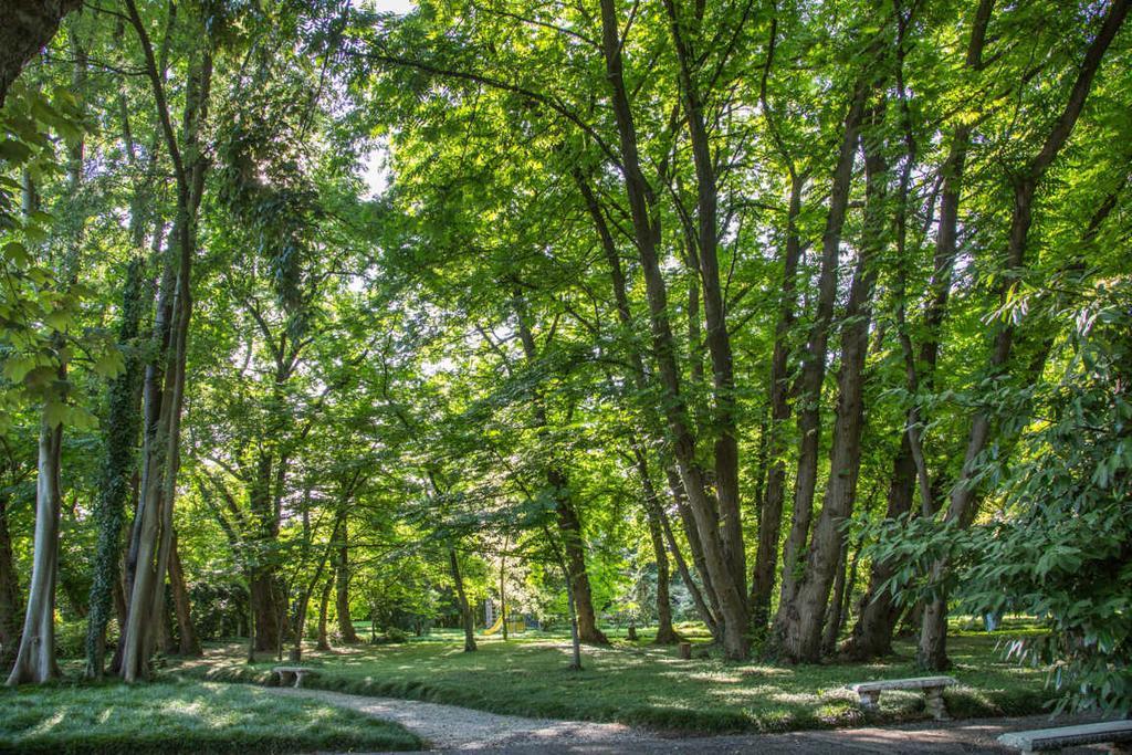 Villa Revedin Gorgo al Monticano Luaran gambar